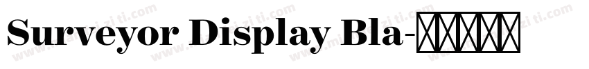 Surveyor Display Bla字体转换